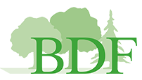 Logo Bund Deutscher Forstleute